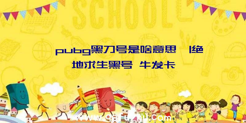 「pubg黑刀号是啥意思」|绝地求生黑号